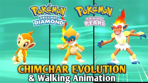 how to evolve chimchar.
